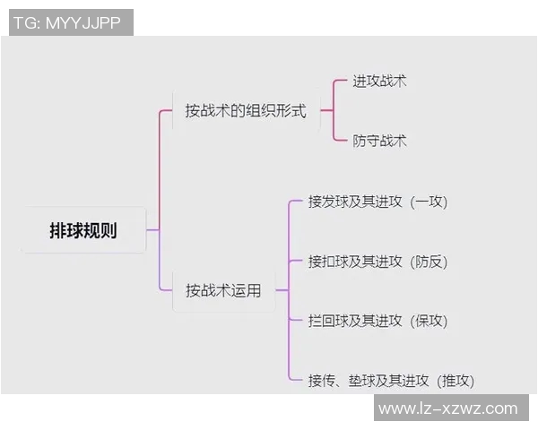 广州排球队的战术演变与球员转换深度解析 广州排球队的战术演变与球员转换深度解析