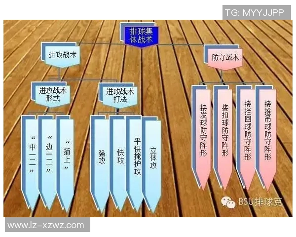 上海排球队的节奏分析与战术得失探讨 上海排球队的节奏分析与战术得失探讨