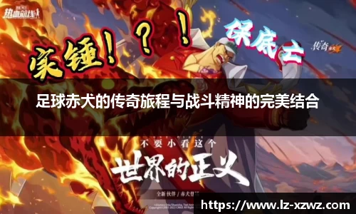 足球赤犬的传奇旅程与战斗精神的完美结合